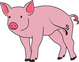 Vector cartoon funny pig on yellow background