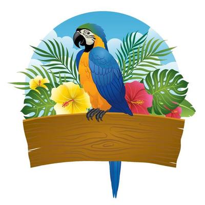 blue and gold macaw sit on wooden banner