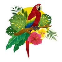 rojo guacamayo sentar en rama de árbol vector