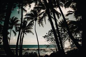 palma tropical antecedentes. ilustración ai generativo foto
