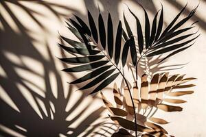 blurred natural palm leaves shadow background. Illustration photo