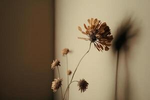 dry flower with a beige empty wall. Illustration photo