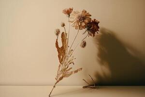 dry flower with a beige empty wall. Illustration photo