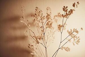 Beautiful branches of a dry plant on the background. Illustration photo