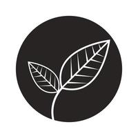 leaf logo design vector