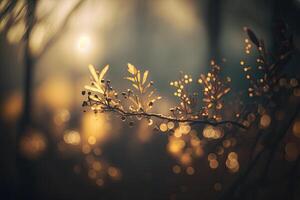 Abstract Blurred Background With Bokeh From Deep Forest. Illustration photo