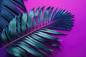 A large fresh palm leaf on a duotone purple-violet-blue. Illustration photo