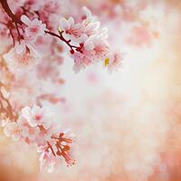 Spring Beauliful Cherry Blossom BackgroundGenerative AI photo