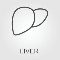 Liver icon in trendy flat style isolated on white background. Symbol for your web site design, logo, app, UI. Vector illustration, EPS