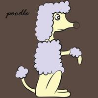 poodle dog cartoon vector