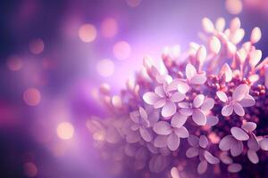 Blooming Purple Lilac Flower Illustration photo