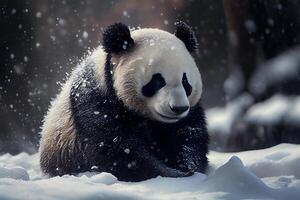 Panda in snow winter. Illustration photo