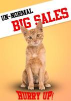 Unnormal Big Sales Hurry Up Cat Head On Dog Body photo