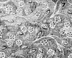 rustique grunge texture avec grain et taches. abstrait bruit Contexte. png graphique illustration avec transparent Contexte.