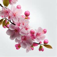 primavera hermoso Cereza florecer fondogenerativo ai foto