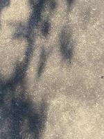 Leaves shadow background on concrete wall texture, leaves tree branches shade with sunlight photo