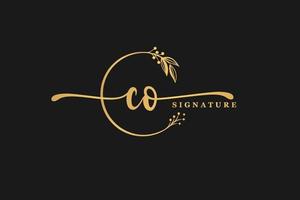 luxury gold signature initial C O logo design isolated leaf and flower vector