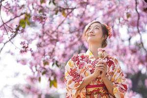 japonés mujer en tradicional kimono vestir participación dulce hanami dango postre mientras caminando en el parque a Cereza florecer árbol durante primavera sakura festival con Copiar espacio foto