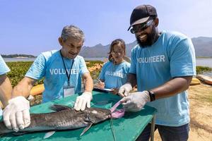 Team of ecologist volunteer pulling non biodegradable micro plastic from the endanger species fish due to the irresponsible waste littering into the ocean for climate change and saving nature concept photo