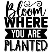 bloom where you are planted vector