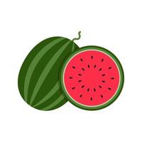 Fresh Watermelon Vector Isolated on white background