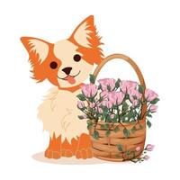 Postcard with a cute chihuahua dog and flowers in a wicker basket. vector