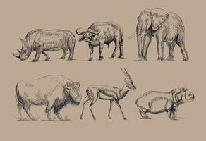 Sketch set of wild animals from Africa Savanna Jungle vector