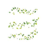 Eco nature Leaf Background Vector Illustration