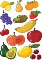 diferente frutas antecedentes vector