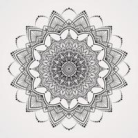 encantador grandioso día carnaval mandala vector