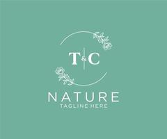 initial TC letters Botanical feminine logo template floral, editable premade monoline logo suitable, Luxury feminine wedding branding, corporate. vector