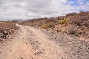 Path through the landscape photo