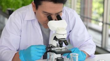 Asian Scientist Doing Experiment on Genetic Modification Organism of Plant and Crops in Lab video