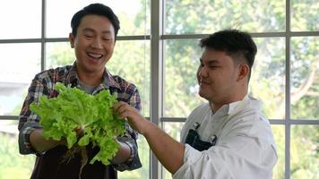 grönsakshandlare ägare och arbetstagare försäljning grön färsk sallad på lokal- marknadsföra video
