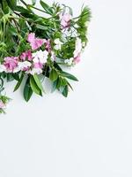 japanese dianthus and laurel leaves. floral frame photo