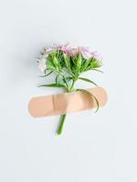 Pink flower with plaster. Conceptual image healthy photo