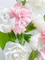 Carnation in water, spa background. Leaves, flower photo