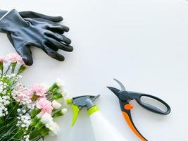 spray pink and white flowers with gardening tools photo