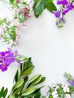 dianthus, gerbera, chamomile, laurel. floral frame photo