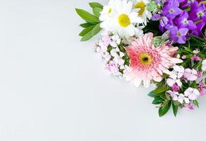 dianthus, gerbera, chamomile, laurel. floral frame photo
