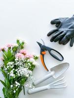 rociar rosado y blanco flores con jardinería herramientas foto