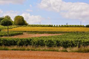 Scenic rural landscape photo