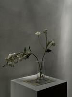 White flowers in a glass vase on a gray wall background photo