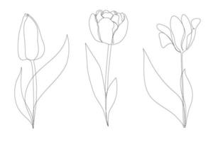 Set beautiful blossoming tulip flower in continuous line art drawing style. Minimalist black linear sketch isolated on white background. Vector illustration