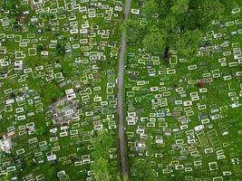 Aerial view of green lush Muslim cemetery photo