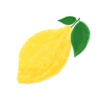 Hand drawn cute watercolor yellow lemon with two green leaves, citrus artwork on white background. vector