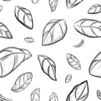 Basil. Seamless pattern. Hand drawn vector illustration.