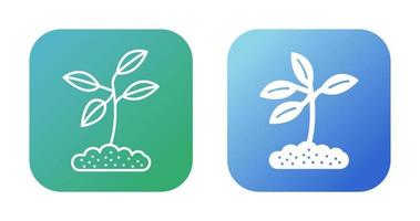 Plant Vector Icon