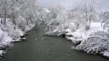 winter berg rivier- omringd door bomen en banken van met sneeuw bedekt video