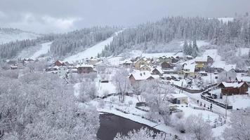 volo al di sopra di nevoso montagna villaggio e conifero foresta. chiaro soleggiato gelido tempo metereologico video